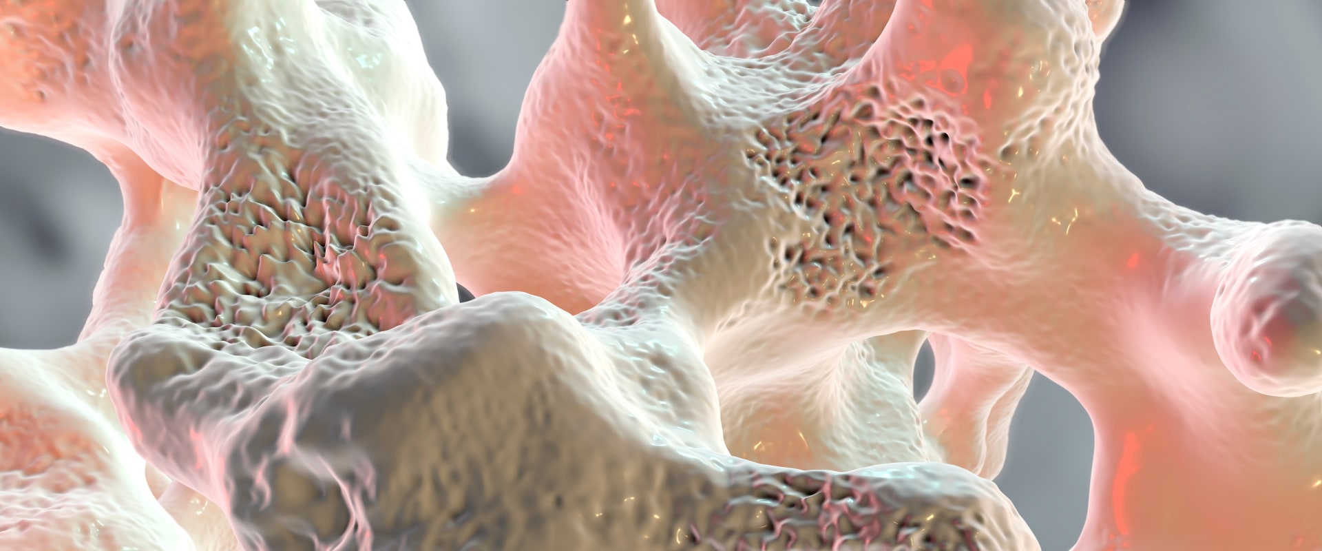 The Role of Vitamin K2 in Blood Clotting