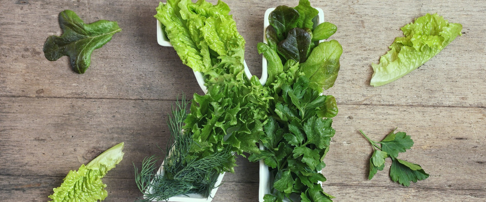 The Key Differences Between Vitamin K2 and Vitamin K1