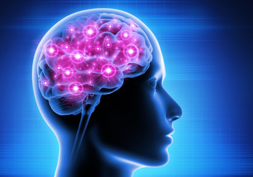 The Power of Vitamin K2: Improving Brain Function