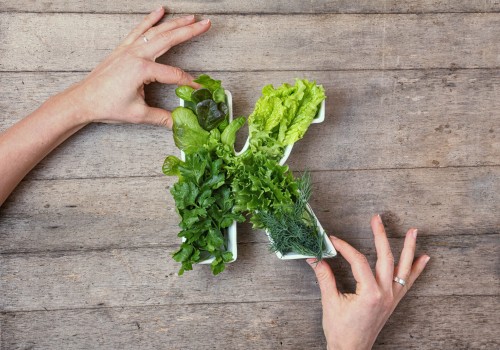 Incorporating Vitamin K2 into a Vegetarian or Vegan Diet